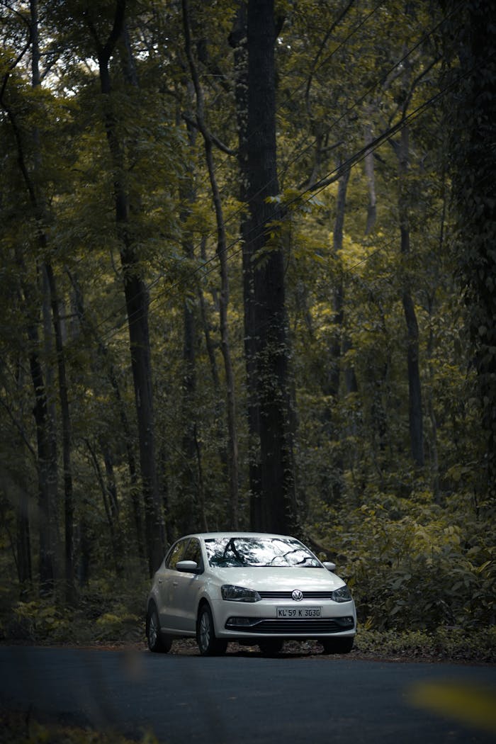 A white car parked on a road surrounded by dense forest trees in a vertical shot.